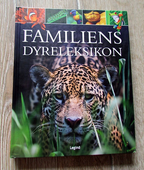 Product image 1 of 7