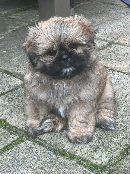 Product image 2 of 8