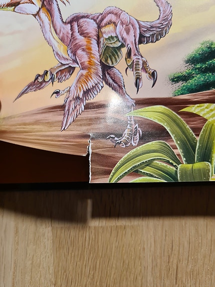 Product image 6 of 8