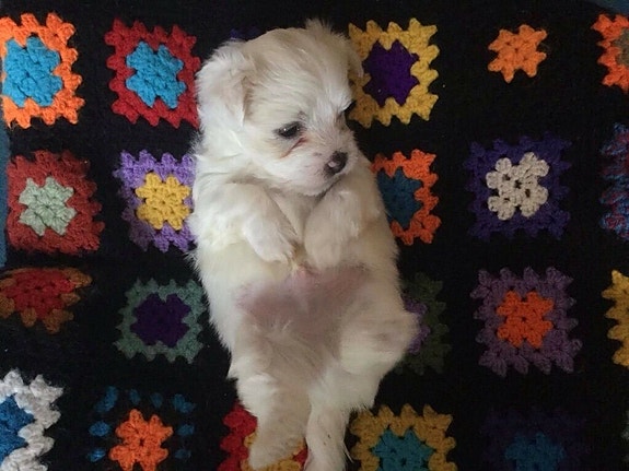 Product image 5 of 8