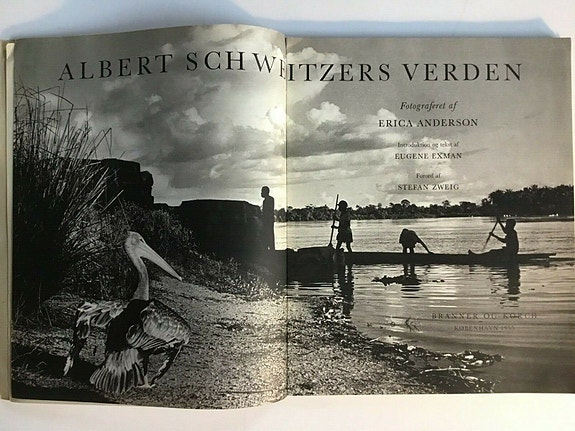 Product image 1 of 7