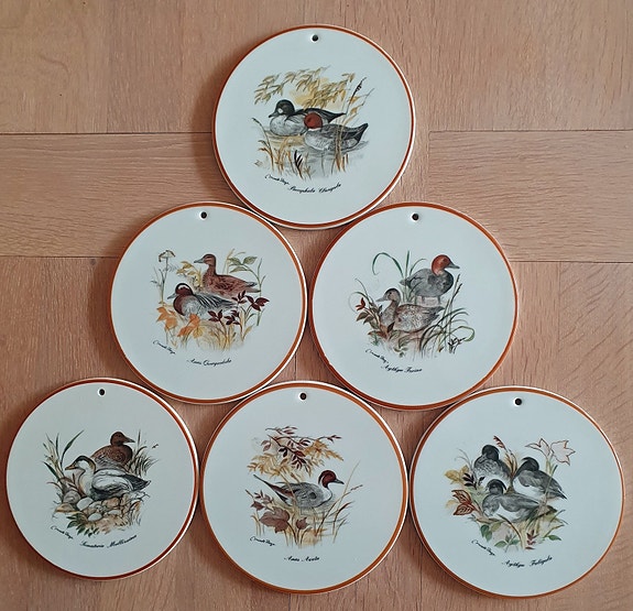 Product image 1 of 7