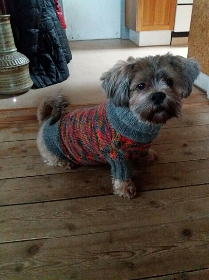 Product image 6 of 8