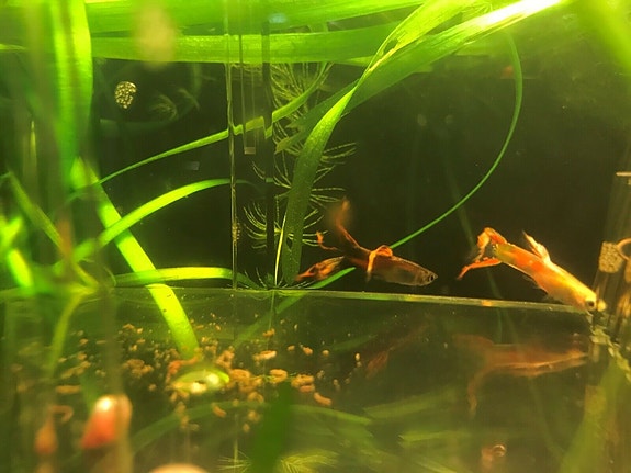 Product image 1 of 8