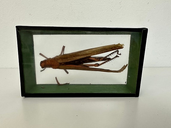 Product image 1 of 7