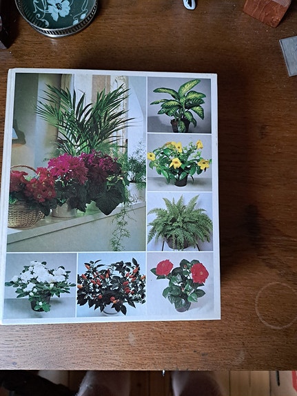 Product image 1 of 8