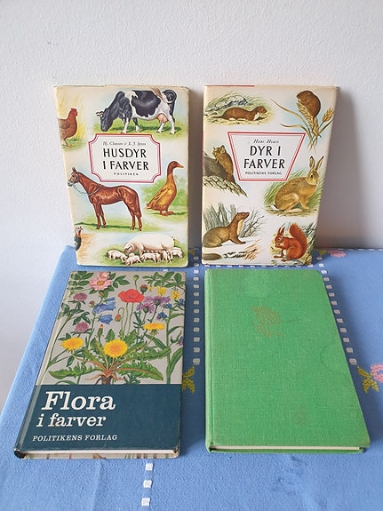 Product image 1 of 7