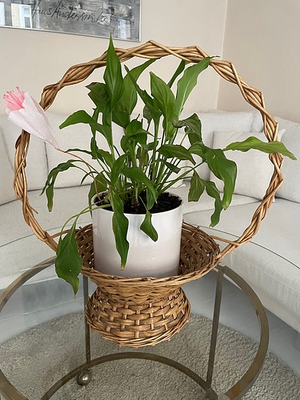 Product image 1 of 8