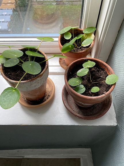 Product image 1 of 8