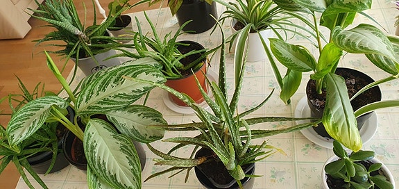 Product image 1 of 8