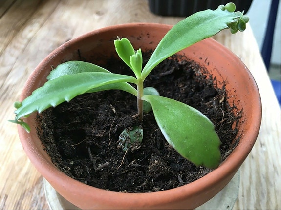 Product image 1 of 8