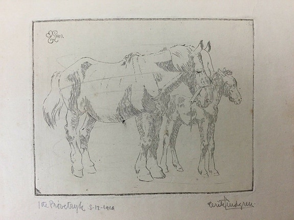 Product image 1 of 8