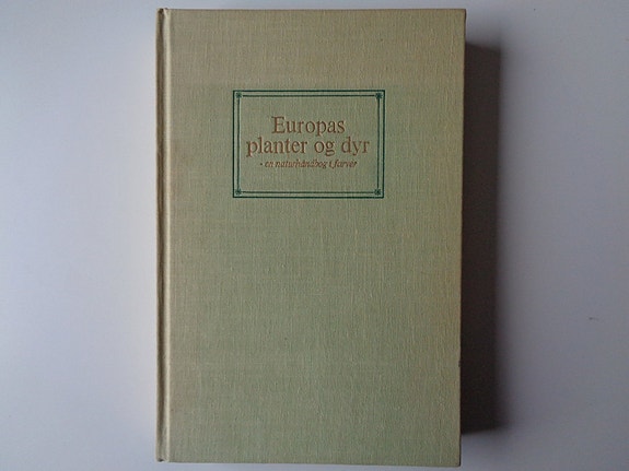 Product image 1 of 8