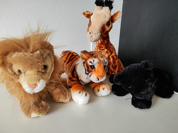 Product image 1 of 8