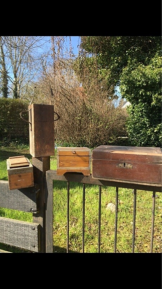 Product image 1 of 10