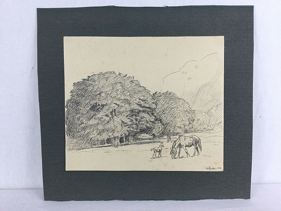 Product image 1 of 7