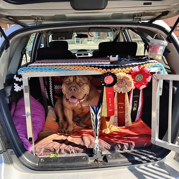 Product image 5 of 8