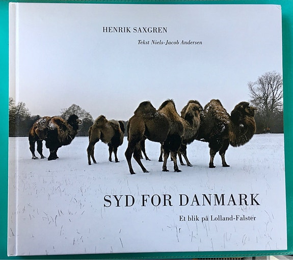 Product image 1 of 8