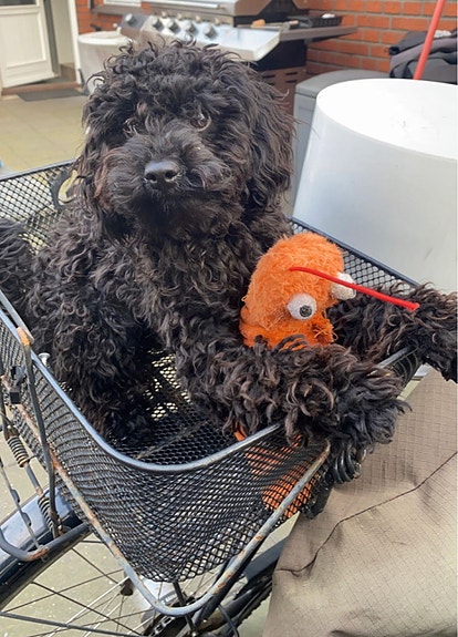 Product image 4 of 8