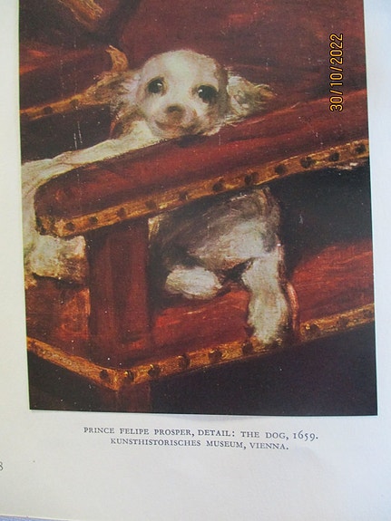 Product image 1 of 8