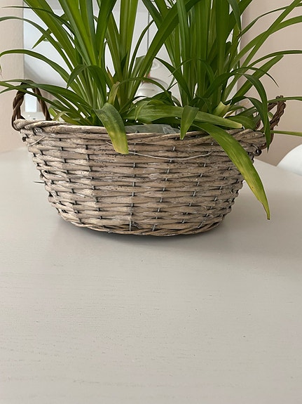 Product image 1 of 8