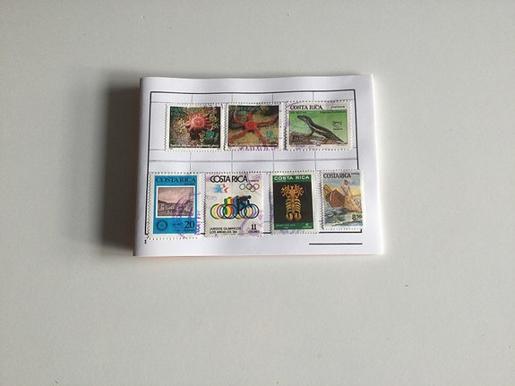 Product image 1 of 7