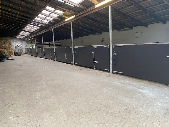 Product image 1 of 8