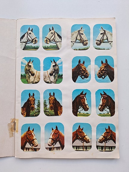 Product image 1 of 8