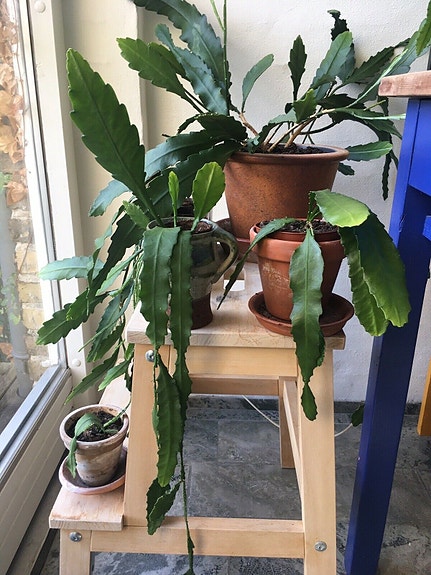 Product image 1 of 8