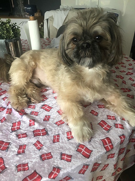 Product image 7 of 8