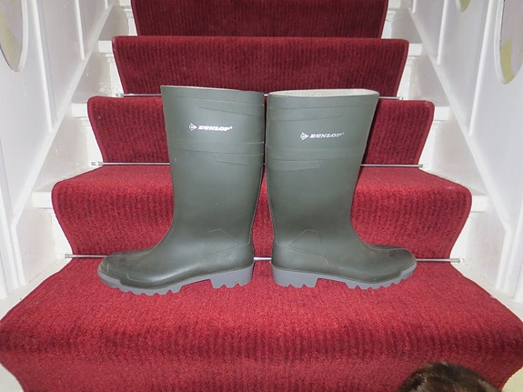 Product image 1 of 5