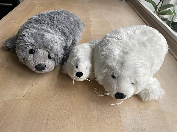 Product image 1 of 6