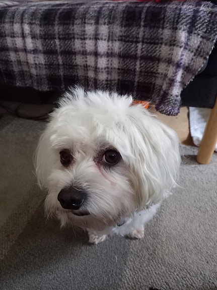 Product image 1 of 8