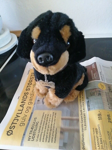 Product image 5 of 6