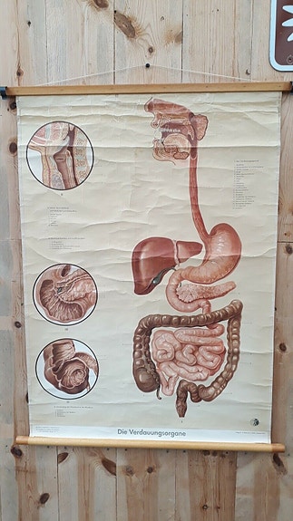 Product image 1 of 8