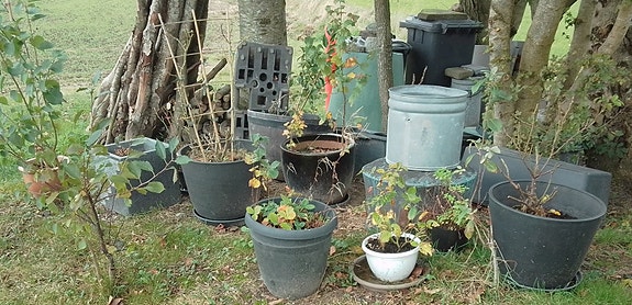 Product image 1 of 7