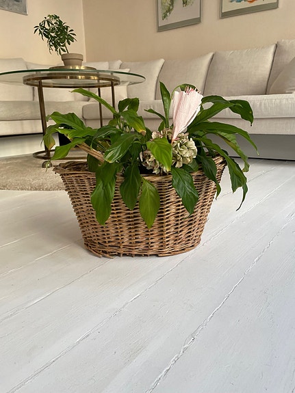 Product image 1 of 8