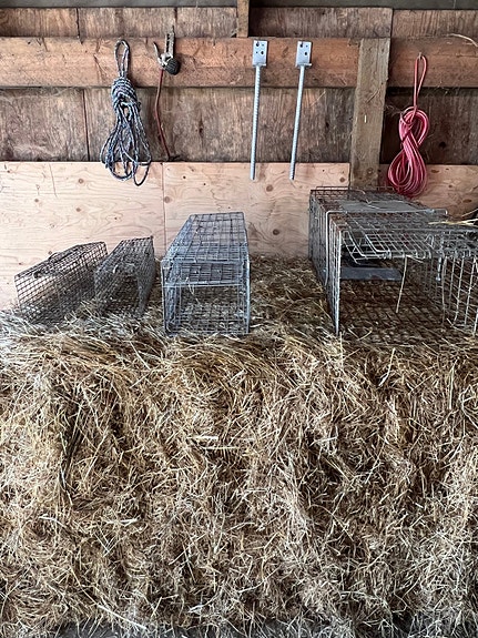 Product image 1 of 8