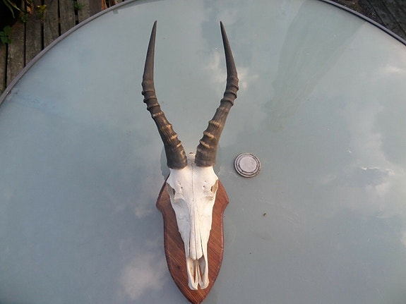 Product image 1 of 5