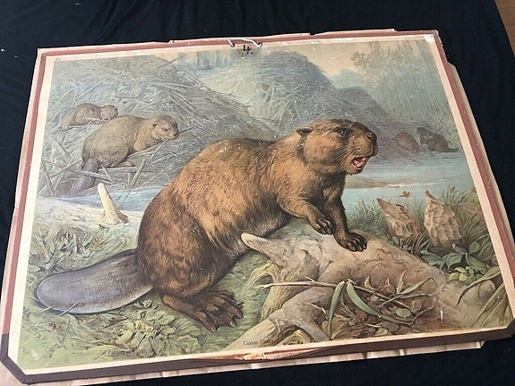 Product image 1 of 10