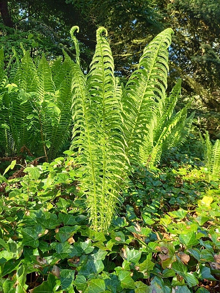 Product image 1 of 9