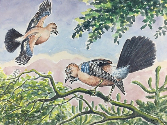 Product image 1 of 7