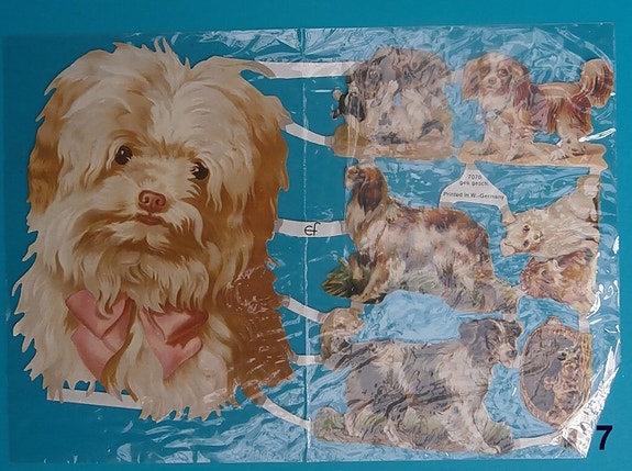 Product image 4 of 7