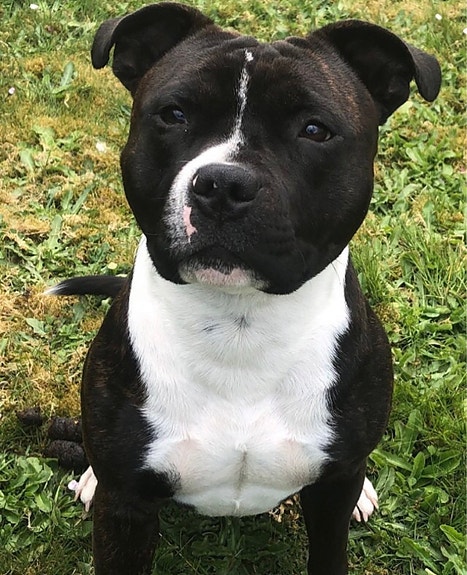 Product image 1 of 6