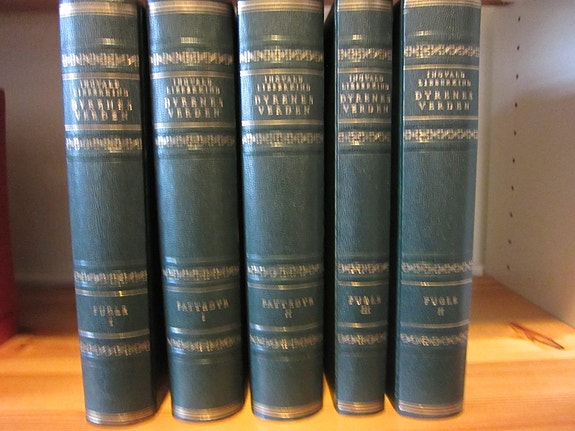 Product image 1 of 7