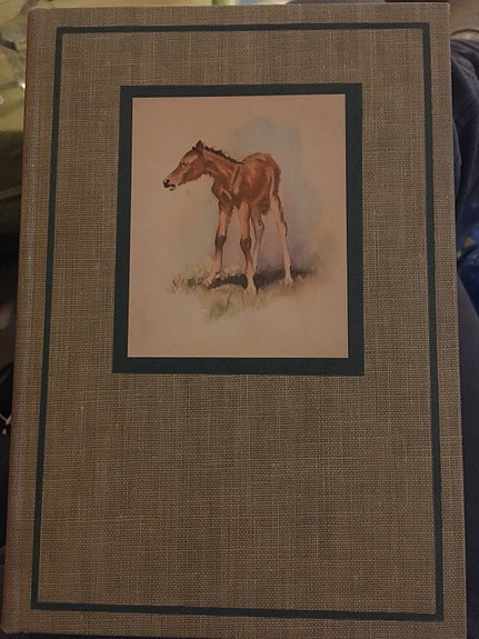 Product image 1 of 8