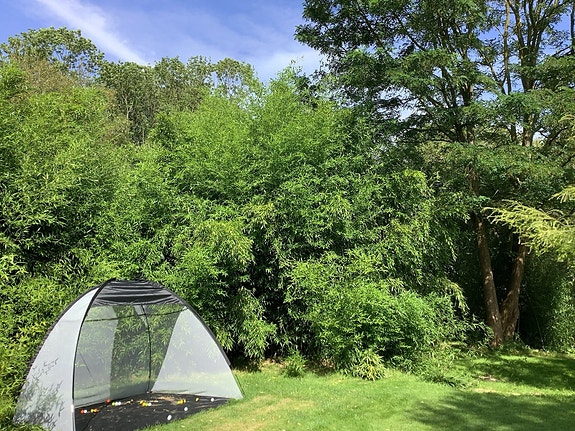 Product image 1 of 8