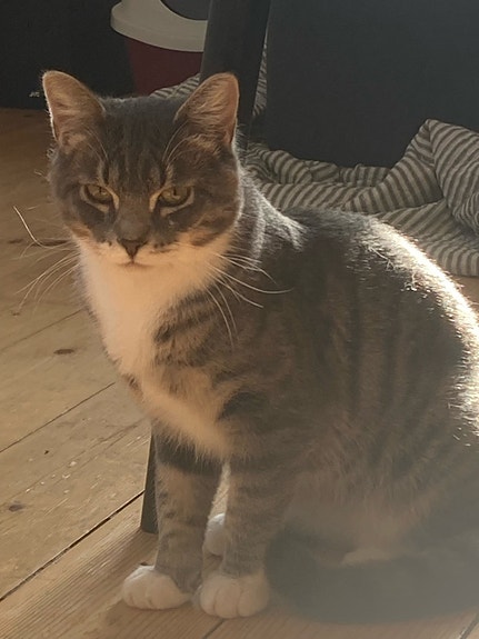 Product image 3 of 8