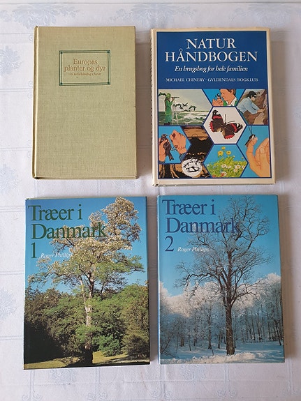 Product image 1 of 6