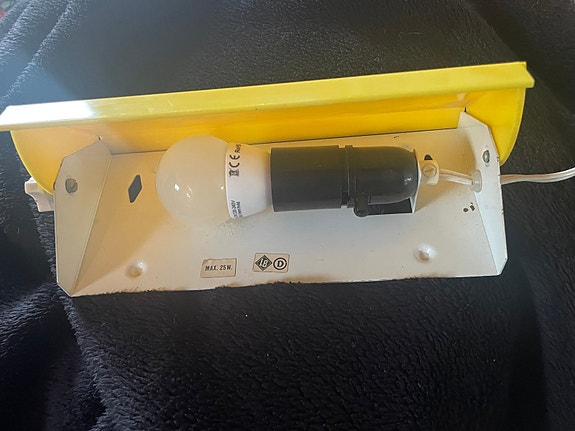 Product image 1 of 4